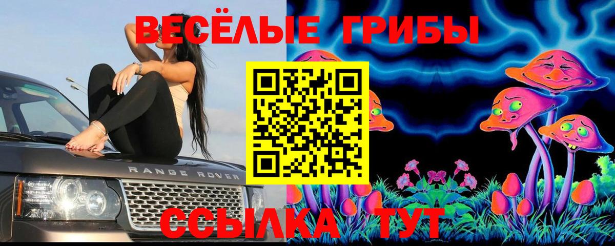 Псилоцибиновые грибы Cubensis Улан-Удэ