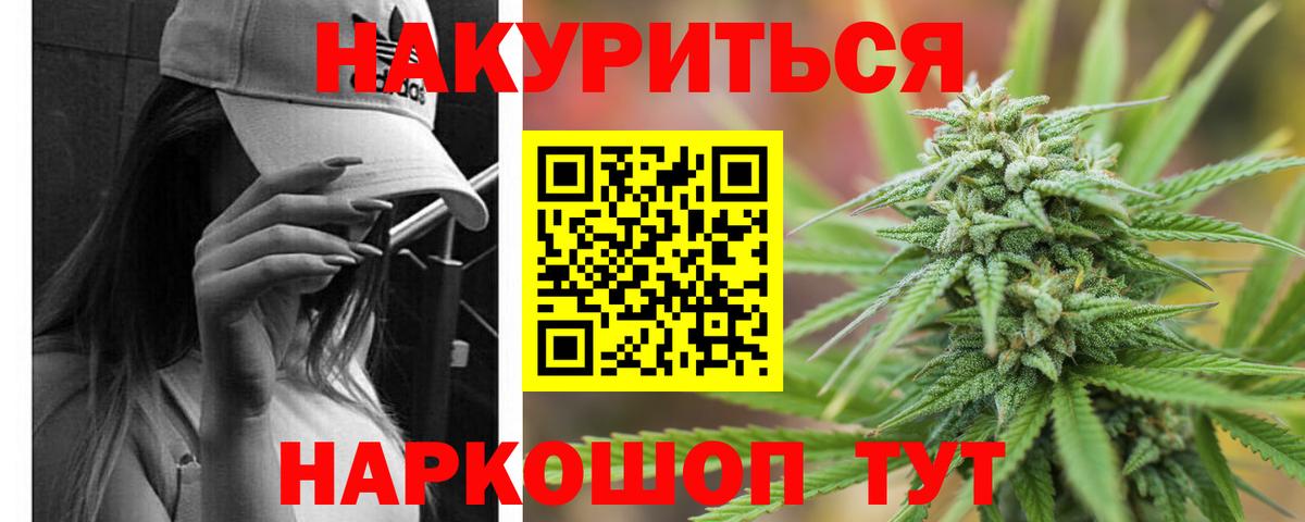 Каннабис сатива Улан-Удэ
